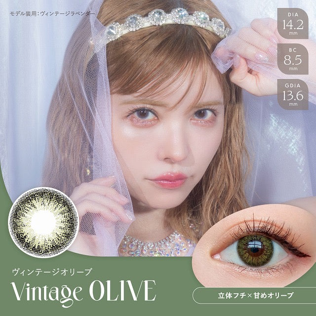 日抛美瞳1DAY Angelcolor Bambi Vintage 10片装 Vintage Olive 同系列3盒起85折优惠!