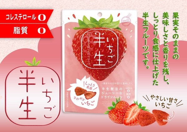DOSHISHA半生水果干草莓干55g
