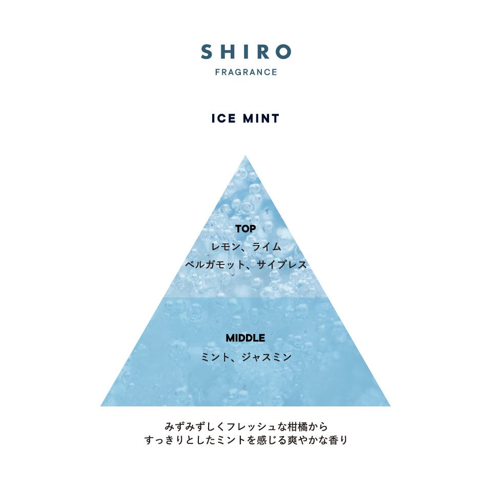 SHIRO身体磨砂膏110g 冰薄荷