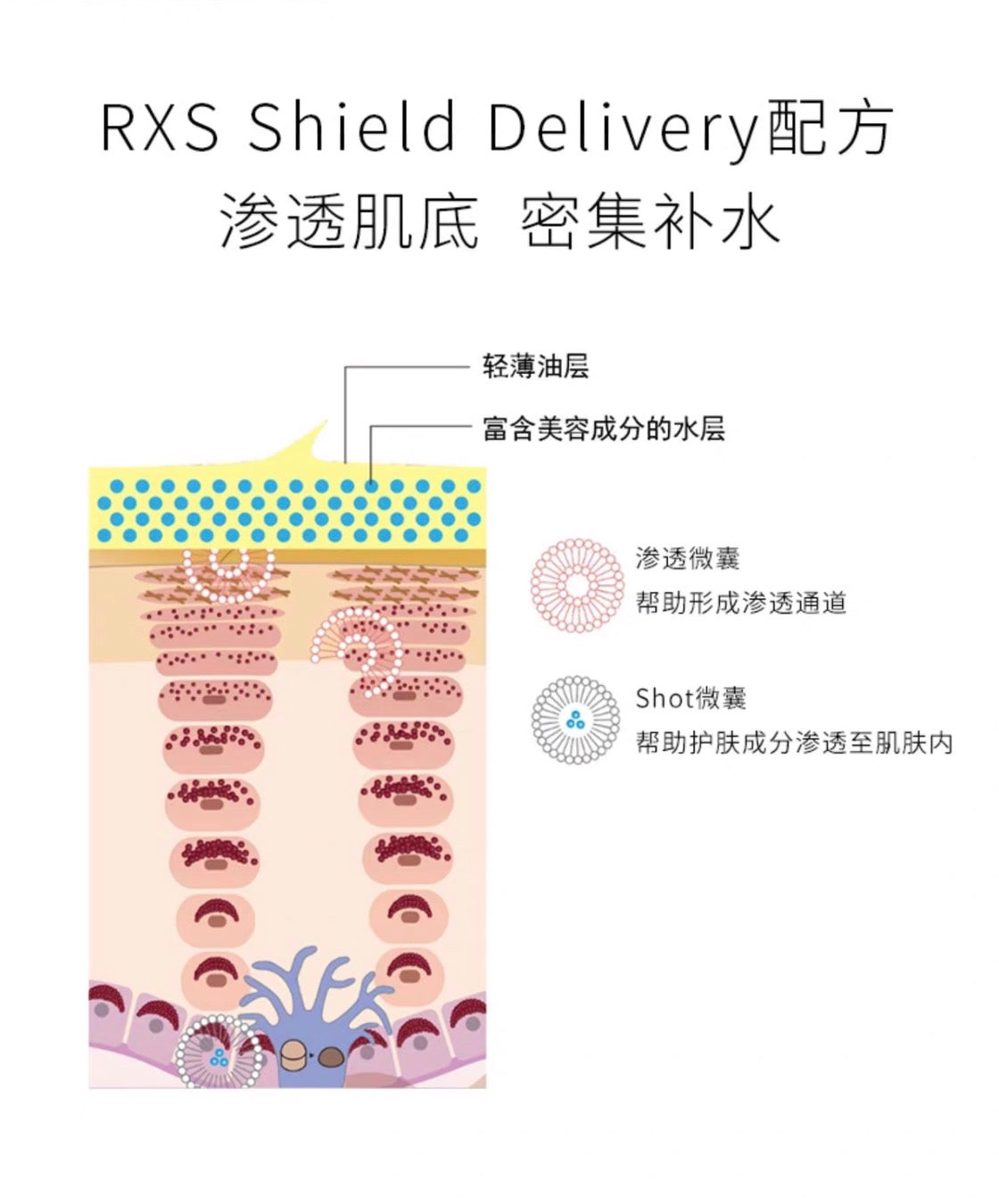 POLA新版美白面霜RXS 50g