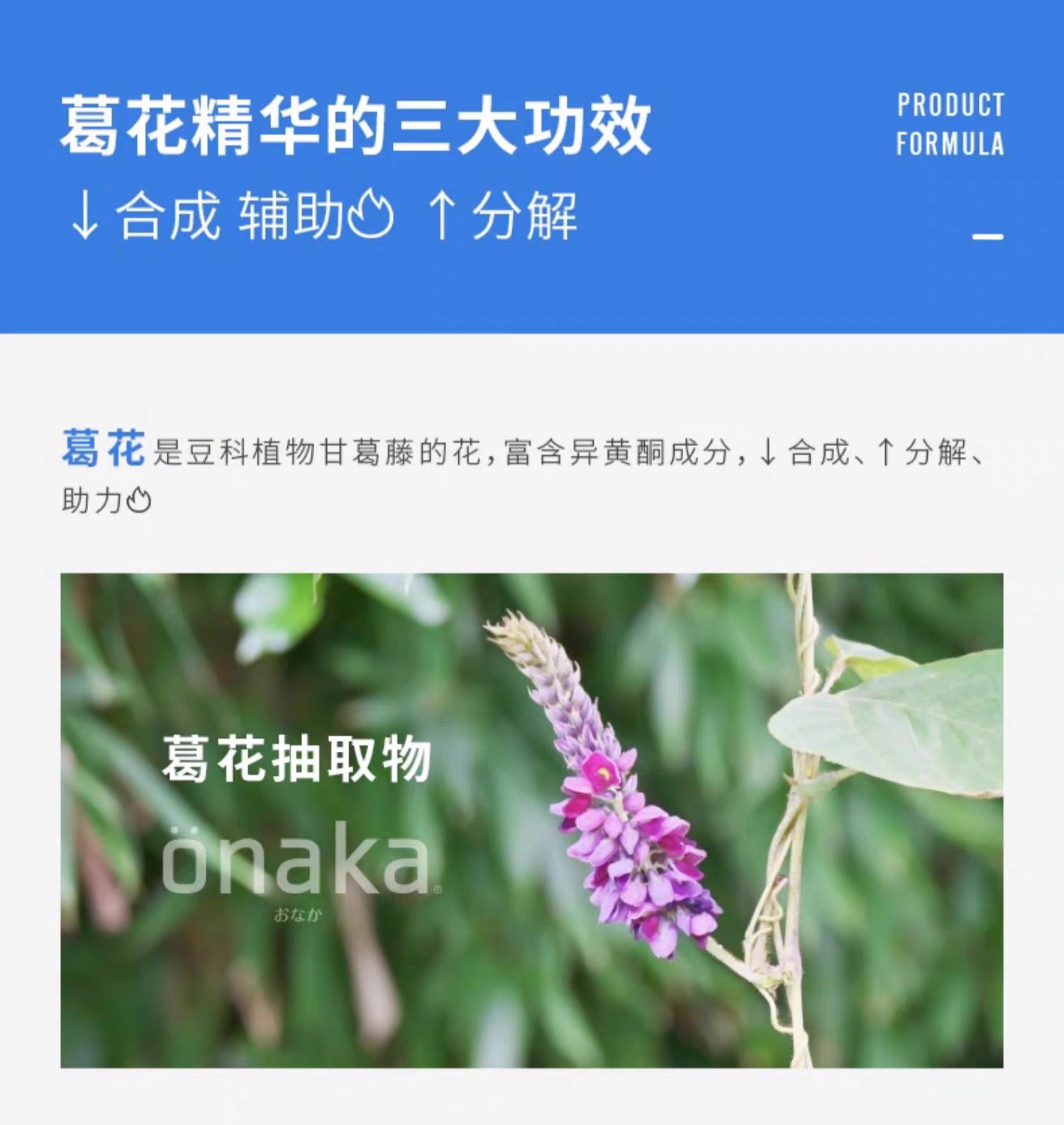 PILLBOX ONAKA膳食纤维酵素60粒装